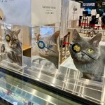 メゾン シーラカンス - ショーケースの上に飾られていたにゃんこのパネル。伊達政宗の眼帯モチーフです…