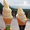 清泉寮ジャージーハット - オリジナルソフトクリーム、プレミアムソフトクリーム