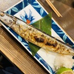 コンペイトウ - 秋なんです　脂乗りもサイズ感も申し分なし！