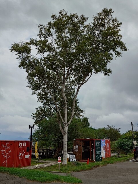 わかさいも本舗 洞爺湖本店 - 洞爺湖町その他（和菓子）の写真
