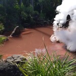 海鮮居酒屋 れん - 