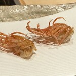 ぬま田 - 【 車海老の頭 】