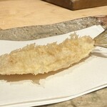 ぬま田 - 【 鱚 】