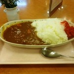 Touyoko In - 夕食のサービスカレー