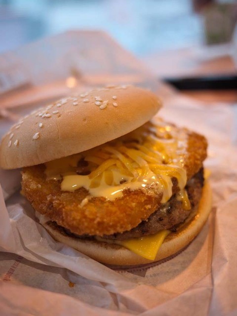 閉店 バーガーキング 静岡呉服町店 新静岡 ハンバーガー 食べログ 閉店 バーガーキング 静岡呉服町店 新静岡 ハンバーガー 食べログ