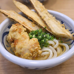 麺匠 釜善 - 【今月の釜善うどん（冷/麺小−20円）@税込1,030円】とりごぼう天うどん