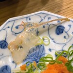 スタンドふじ - 