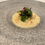 ジョンティ アッシュ - 