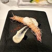 サーラ アマービレ - 