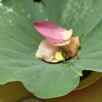 菊乃井 本店 - 
