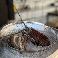表参道うかい亭 - 