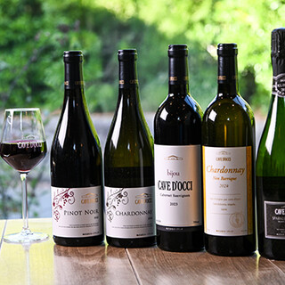 カーブドッチとやの_2