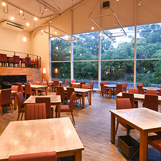 カーブドッチとやの_1