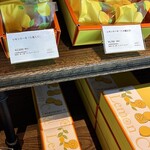 フォルテシモ アッシュ - 