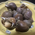 深川酒場 - つぶ貝