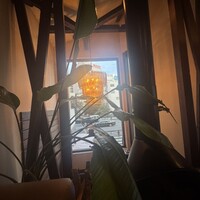 coci - 