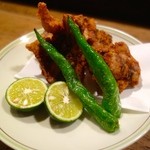 とく山 - ［７回目］とく山のすっぽんコース(要予約)・唐揚げ