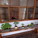 マツヤマカフェ - 