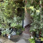 CLAMP COFFEE SARASA - 