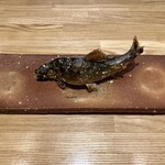 旬菜旬魚 たじま - 