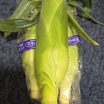 道の駅 日義木曽駒高原 - 