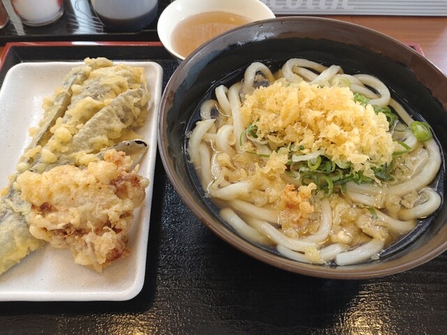 Sanuki Udon Tamaya photo 5