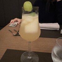 Jose Luis Karuizawa - 