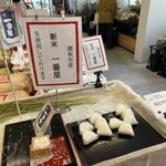 道の駅いたこ - 