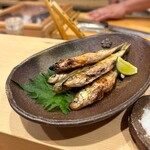 裏寺れん - モロコ素焼き