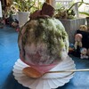 おまめよしこのかき氷 - 料理写真:アマゾンカカオミント