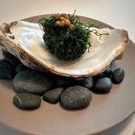 Installation Table ENSO L'asymetrie du calme - 