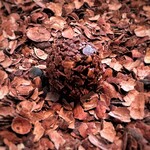 Installation Table ENSO L'asymetrie du calme - 