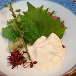 魚勝 - 湯葉の刺身