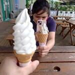 朝搾りソフトクリーム titi 藤井牧場 - 