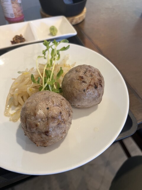 Honki Hamburger Steak Donmanjone Ikeshita Ten