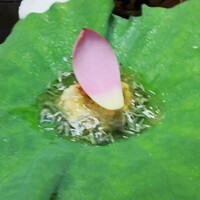 是しん - 