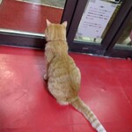 楽楽 - マロン様行きま〜す！