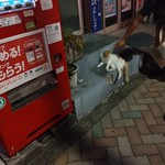 楽楽 - 道行く人達から連続タッチ☆