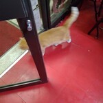 楽楽 - マロン様発艦☆