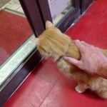 楽楽 - カタパルト装着！