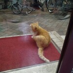 楽楽 - あれ…ストップ