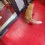 楽楽 - う、外から来客！