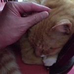 楽楽 - タッチ☆