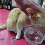 楽楽 - マロン様タッチ