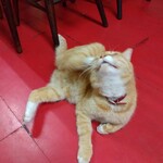 楽楽 - マロン様耳掻き