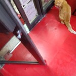 楽楽 - チャ〜ンス