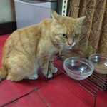 楽楽 - マロン様イカ耳