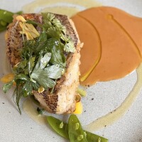 ジャヌ メルカート - 