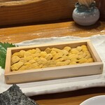 魚虎 - 藍島板うに