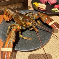鉄板焼き 表参道 - 